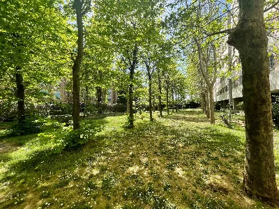 Appartamento in vendita a Roma, Lido di os... - foto 4