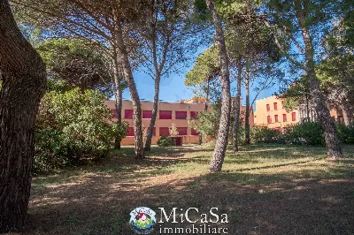 Appartamento in vendita a Pisa, Marina Di ... - foto 9