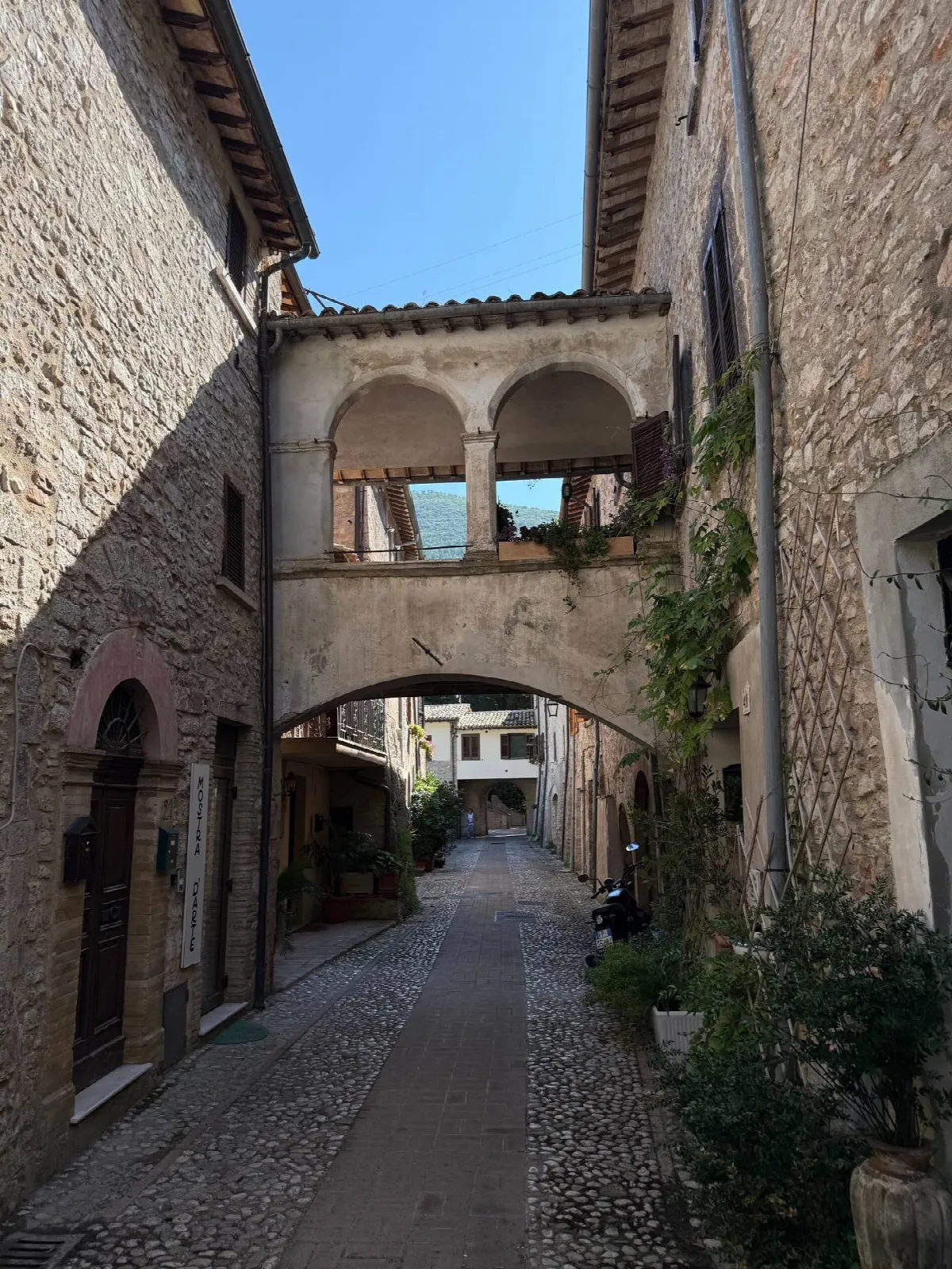 Appartamento in vendita a Scheggino - foto 3
