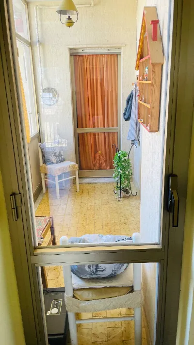 Appartamento in vendita a San Giorgio del ... - foto 7