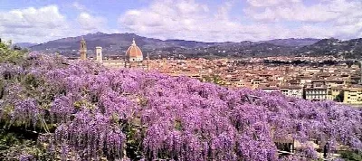 Appartamento in vendita a Firenze, Centro - foto 4