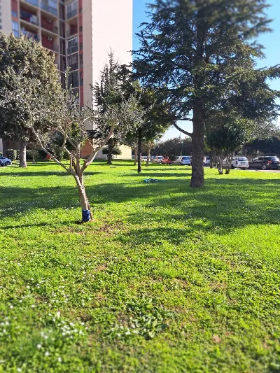 Appartamento in vendita a Marigliano - foto 2