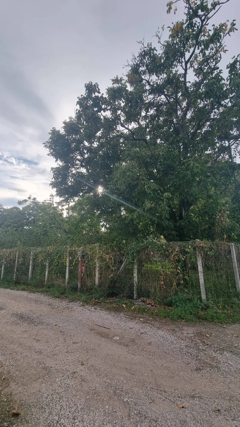 Appartamento in vendita a Brusciano - foto 2