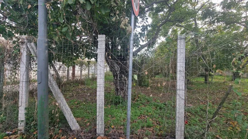 Appartamento in vendita a Brusciano - foto 4