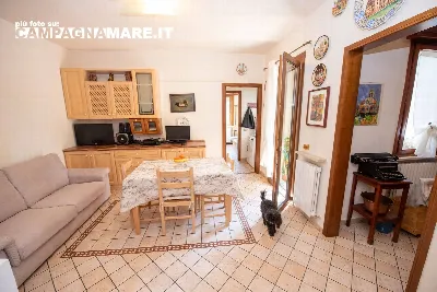 Appartamento in vendita a Codigoro - foto 1