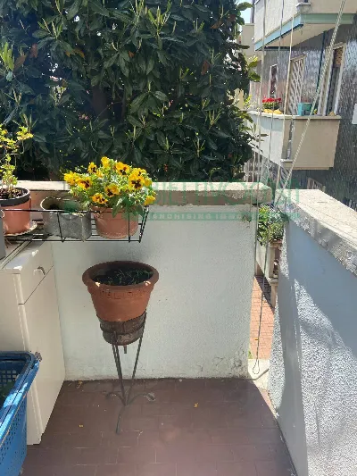 Appartamento in vendita a Corsico - foto 5