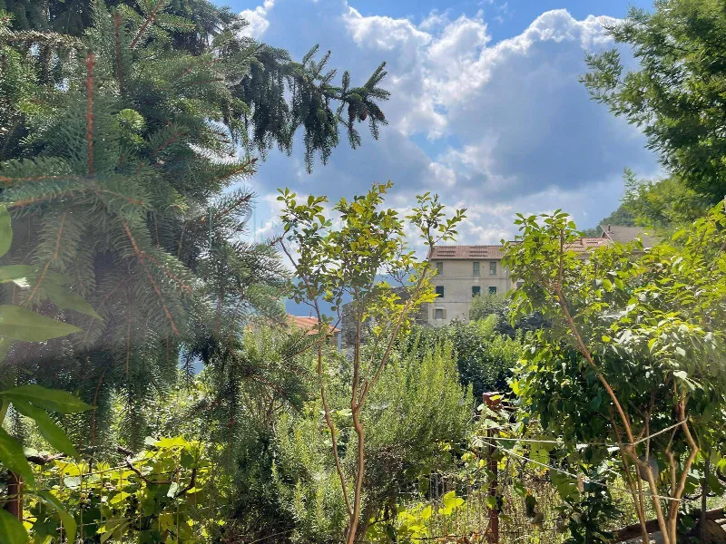 Appartamento in vendita a Borghetto d'Arroscia - foto 1