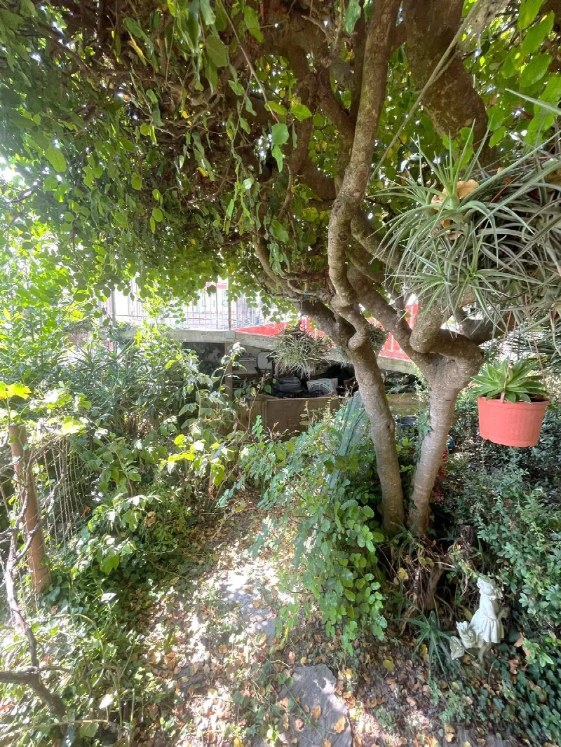 Appartamento in vendita a Borghetto d'Arroscia - foto 6