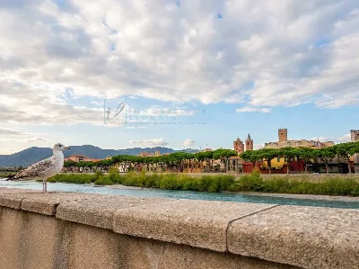 Appartamento in vendita a Albenga - foto 3