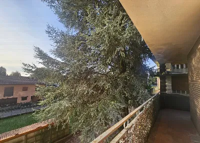 Appartamento in vendita a Vedano Olona - foto 6