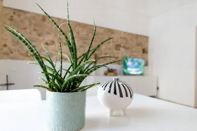 Appartamento in vendita a Noto - foto 10