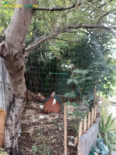 Appartamento in vendita a Moricone - foto 2