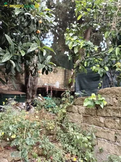 Appartamento in vendita a Moricone - foto 3