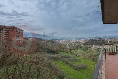 Appartamento in vendita a Frosinone - foto 3