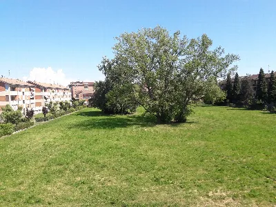 Appartamento in vendita a Alessandria, Cri... - foto 8
