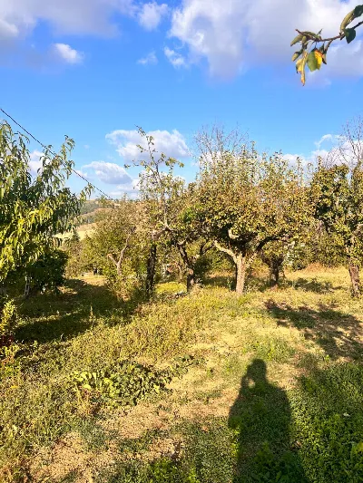 Appartamento in vendita a Santa Vittoria i... - foto 10