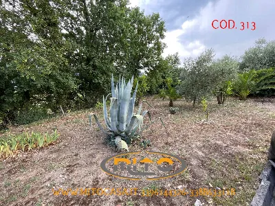 Appartamento in vendita a Telese Terme - foto 2