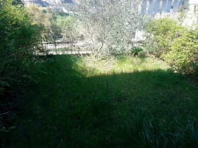 Appartamento in vendita a San Benedetto de... - foto 10