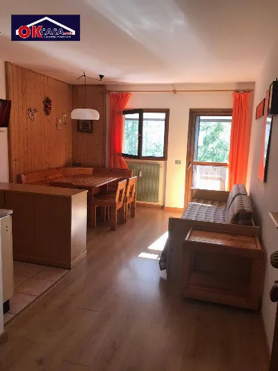 Appartamento in vendita a Selva di Cadore - foto 6