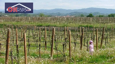 Appartamento in vendita a San Lorenzo Ison... - foto 3
