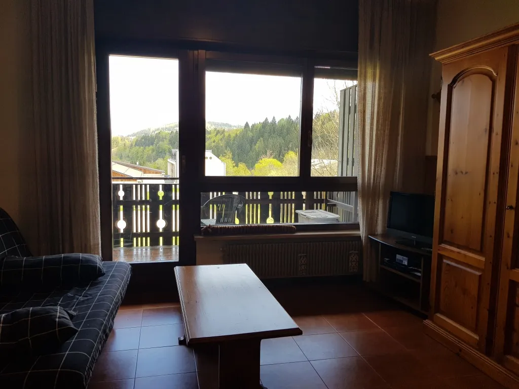 Appartamento in vendita a Tarvisio - foto 4