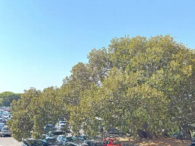 Appartamento in vendita a Bordighera - foto 10