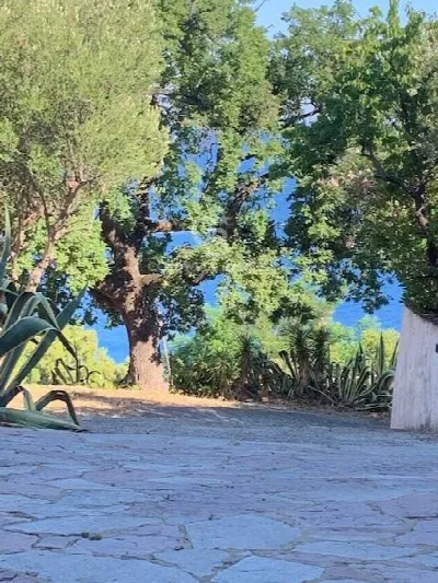 Appartamento in vendita a Centola - foto 10