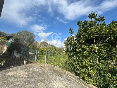 Appartamento in vendita a Centola - foto 7