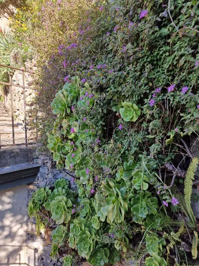 Appartamento in vendita a Camogli - foto 7