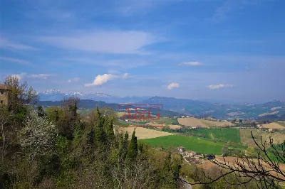 Appartamento in vendita a Montedinove - foto 6