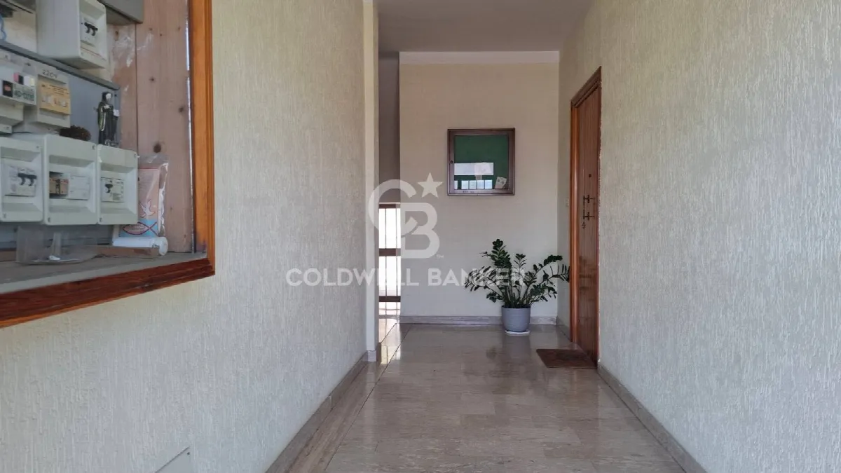 Appartamento in vendita a Mesagne - foto 4