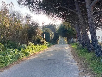 Appartamento in vendita a Badesi - foto 10