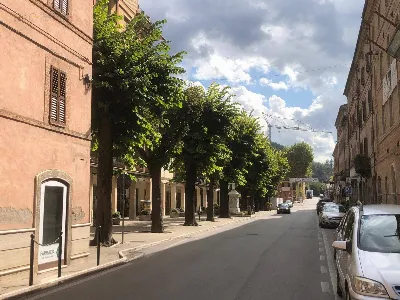 Appartamento in vendita a Comunanza - foto 9