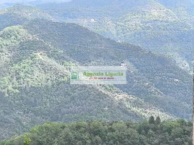 Appartamento in vendita a Perinaldo - foto 3