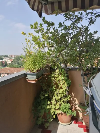 Appartamento in vendita a Desio - foto 7