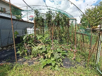 Appartamento in vendita a Gozzano - foto 3