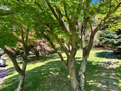 Appartamento in vendita a Varese, Ippodrom... - foto 3