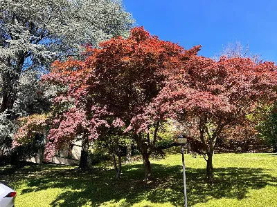 Appartamento in vendita a Varese, Ippodrom... - foto 5