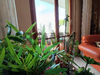 Appartamento in vendita a Lanciano - foto 2