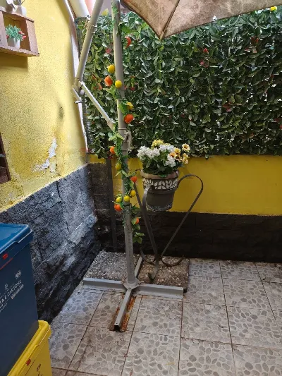 Appartamento in vendita a Catania, Cittade... - foto 8