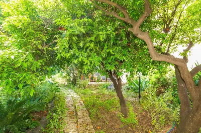 Appartamento in vendita a Catania, Centro ... - foto 1