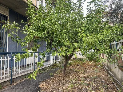 Appartamento a Belpasso
