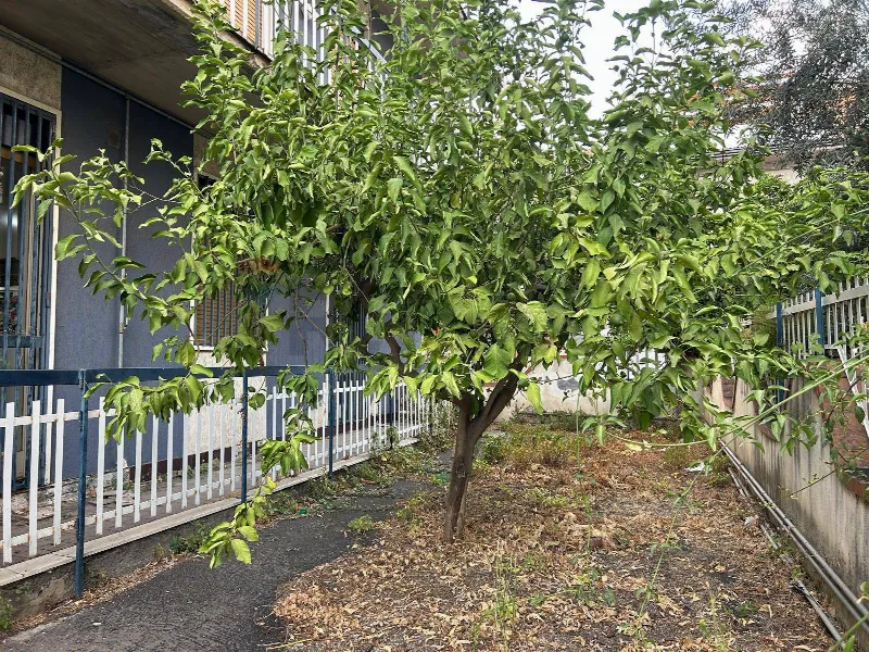 Appartamento in vendita a Belpasso - foto 1