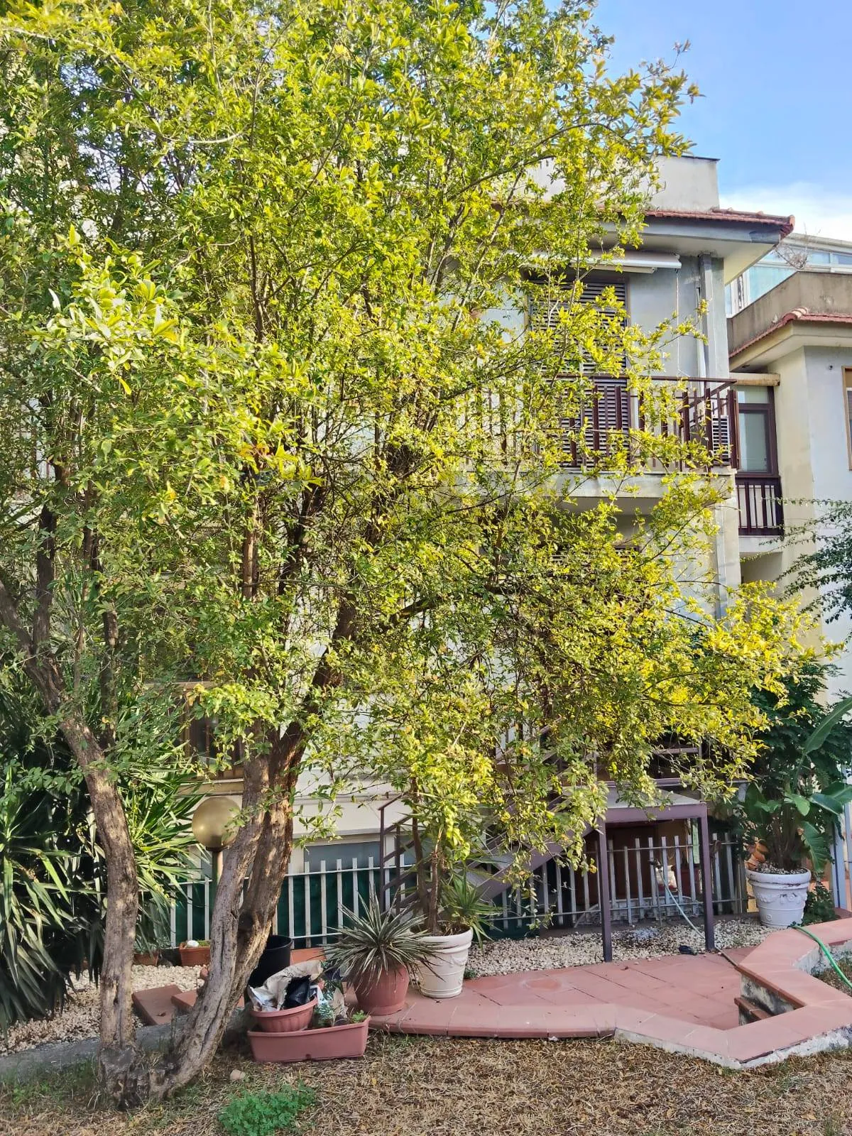 Appartamento in vendita a Catania, Cannizzaro, Teseo, Dusmet - foto 2
