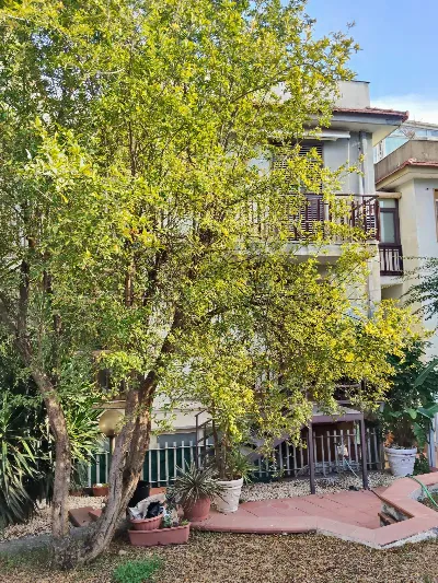 Appartamento in vendita a Catania, Cannizz... - foto 2