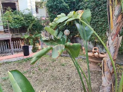 Appartamento in vendita a Catania, Cannizz... - foto 3