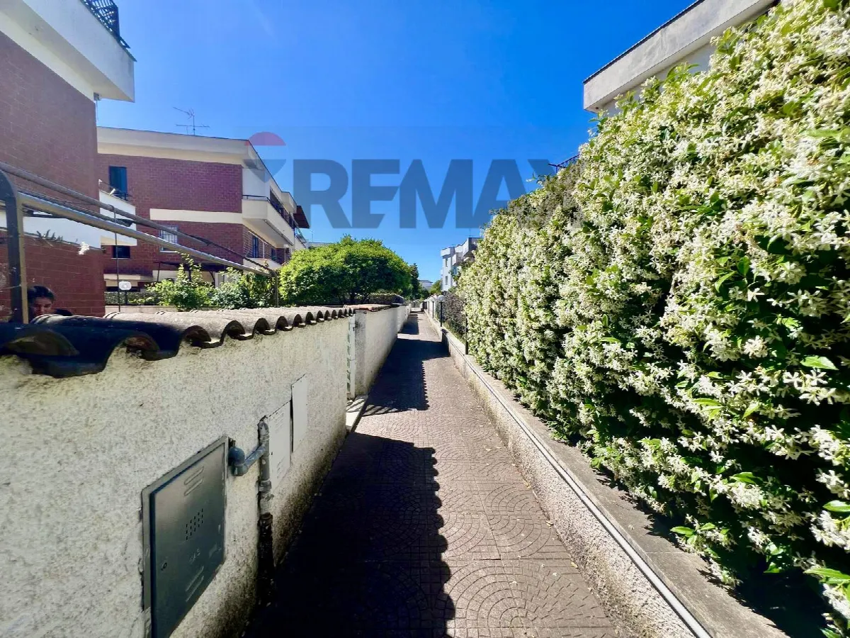 Appartamento in vendita a Nettuno - foto 4