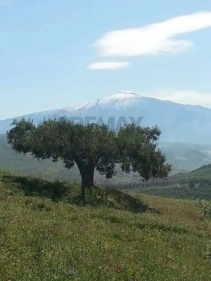 Appartamento in vendita a Troina - foto 1