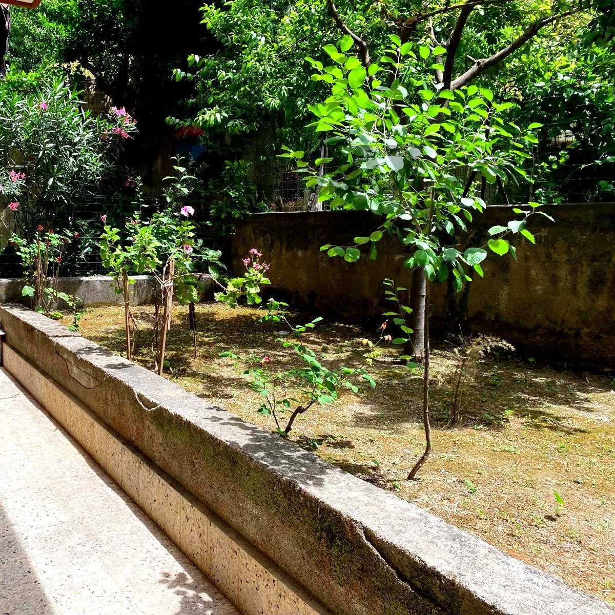 Appartamento in vendita a Francavilla di Sicilia - foto 2