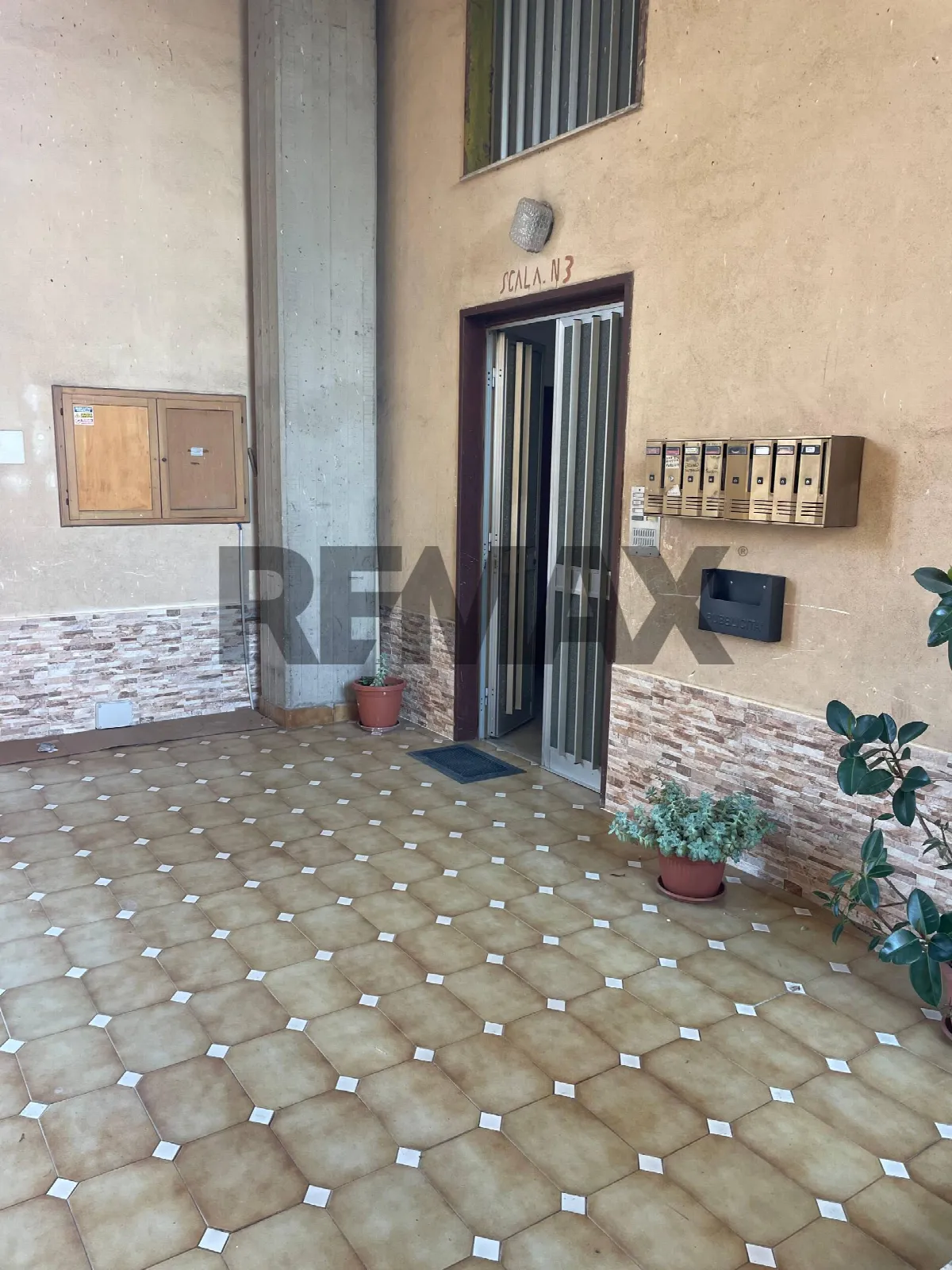 Appartamento in vendita a Fiumefreddo di Sicilia - foto 2